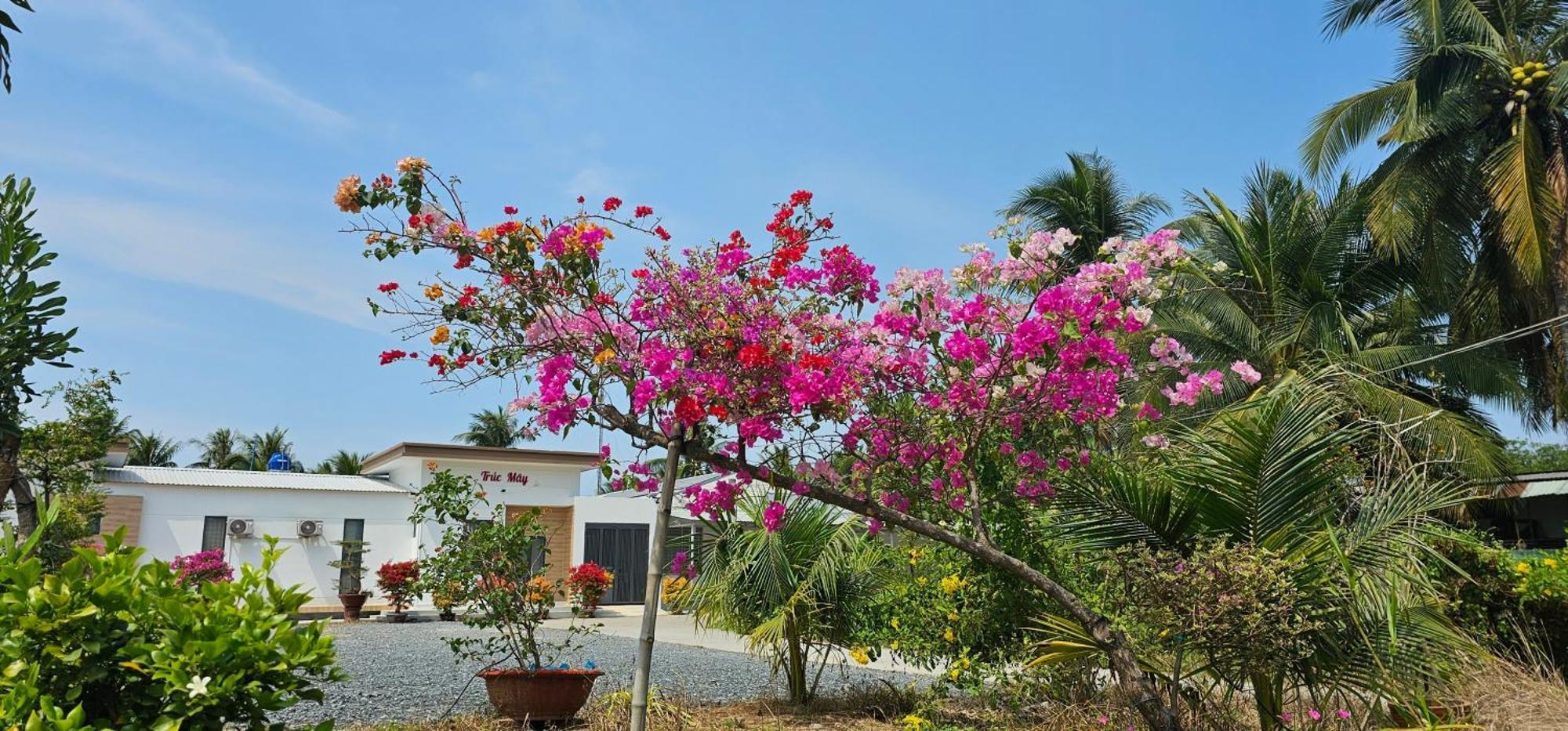 Nha Nghi Truc May Ben Tre Экстерьер фото